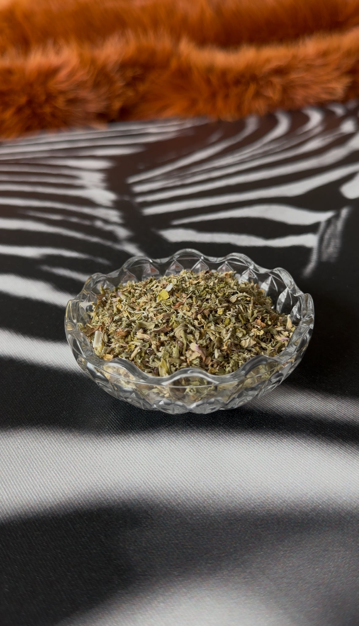 No. 31 CATNIP