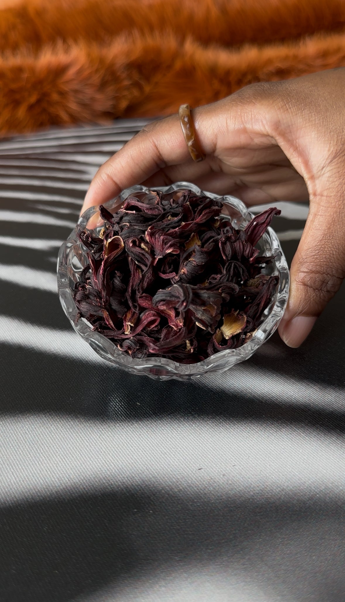 No. 11 HOTTIE HIBISCUS