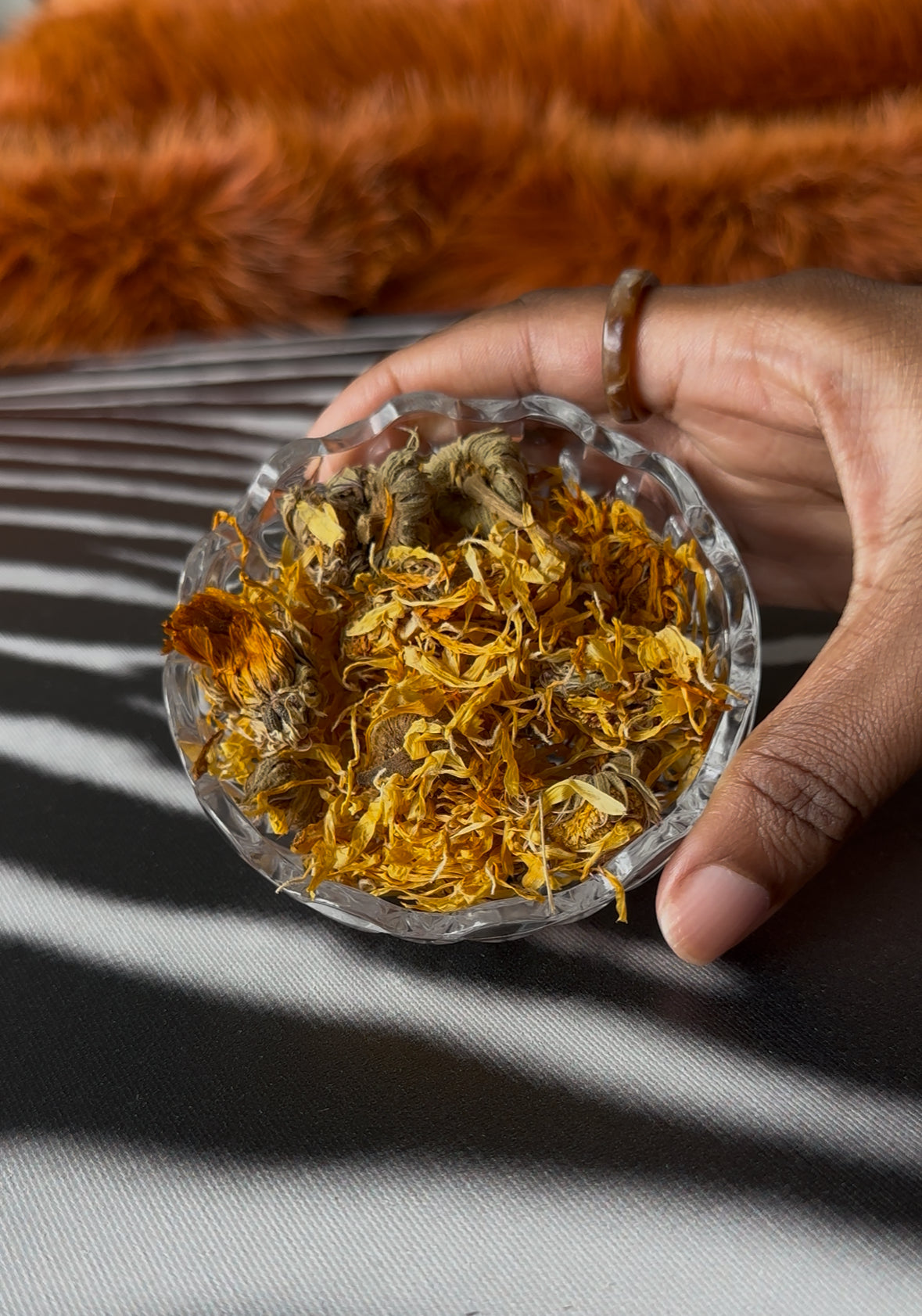No. 25 CALENDULA