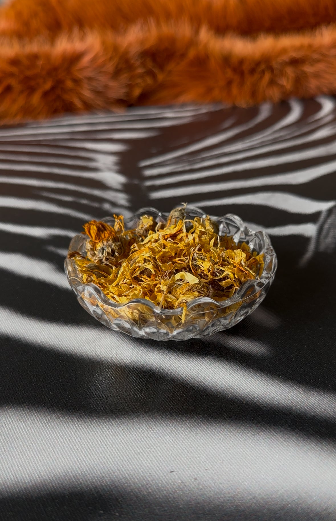 No. 25 CALENDULA