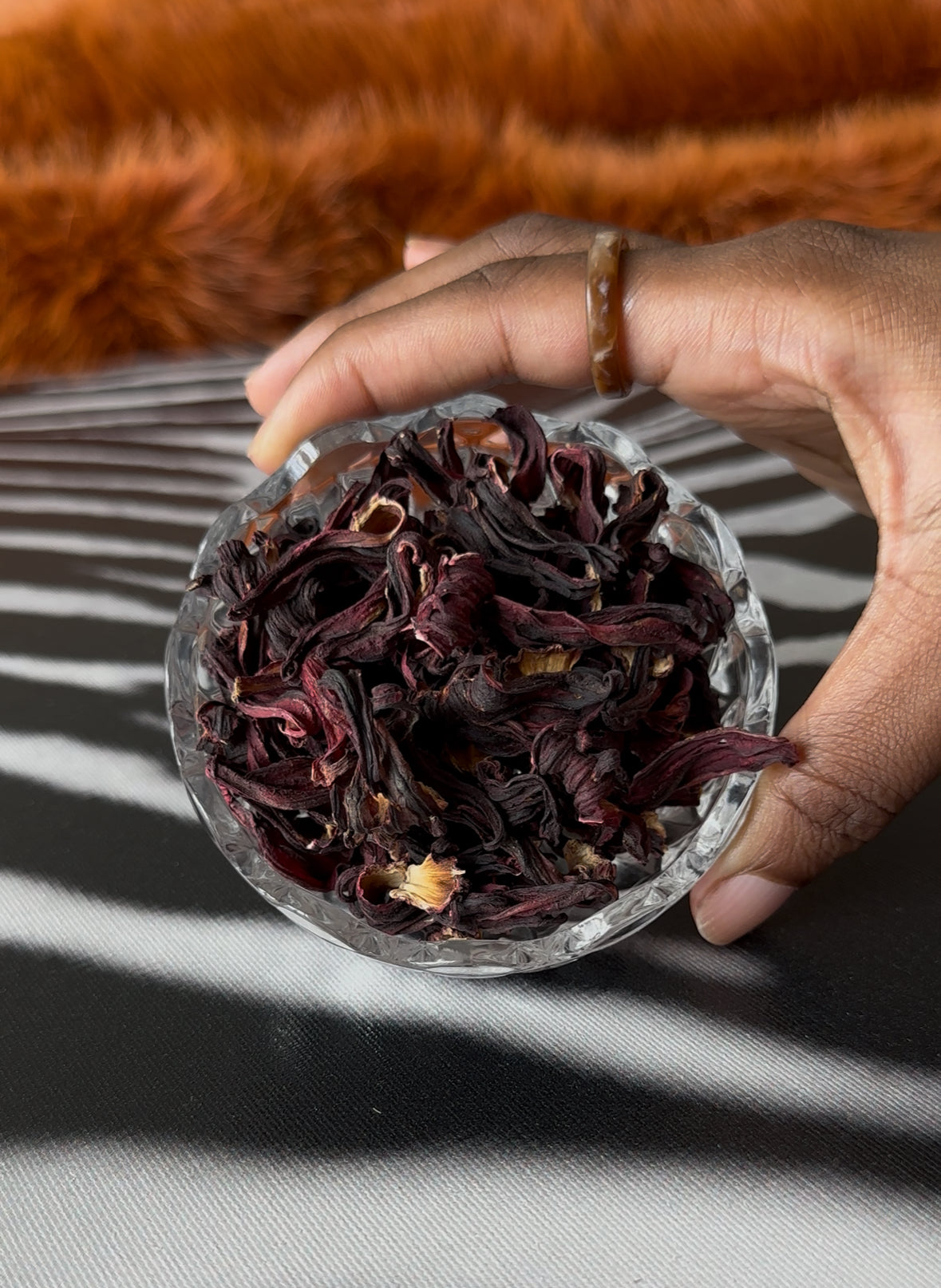 No. 11 HOTTIE HIBISCUS