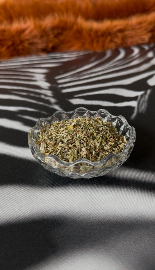No. 31 CATNIP